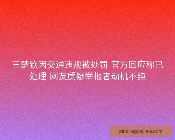 王楚钦因交通违规被处罚 官方回应称已处理 网友质疑举报者动机不纯
