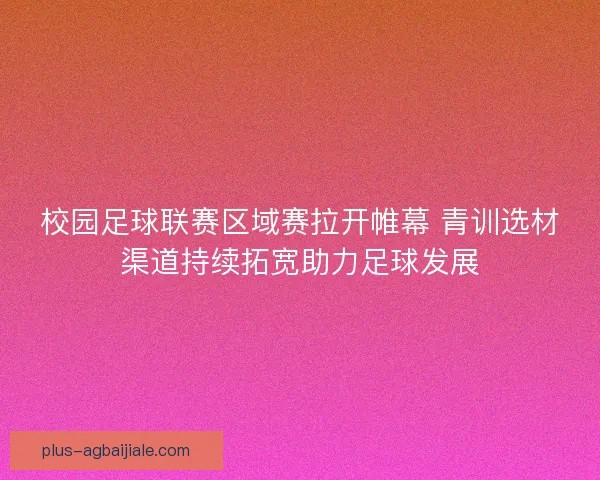 校园足球联赛区域赛拉开帷幕 青训选材渠道持续拓宽助力足球发展