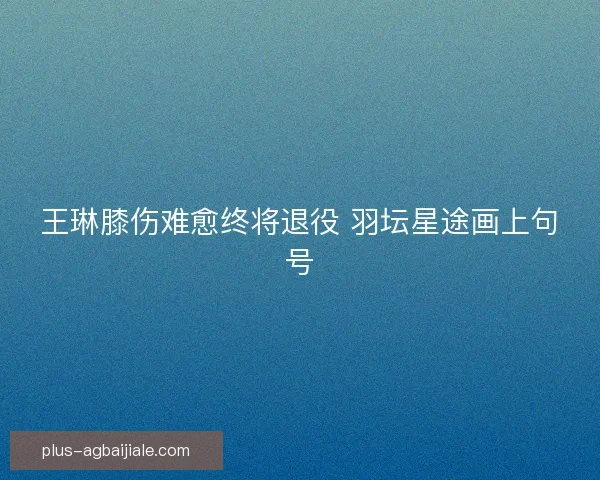 王琳膝伤难愈终将退役 羽坛星途画上句号