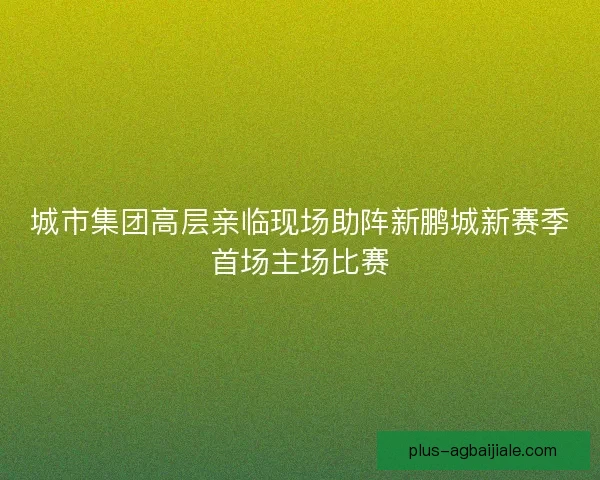 城市集团高层亲临现场助阵新鹏城新赛季首场主场比赛
